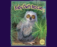 Baby_Owl_s_Rescue